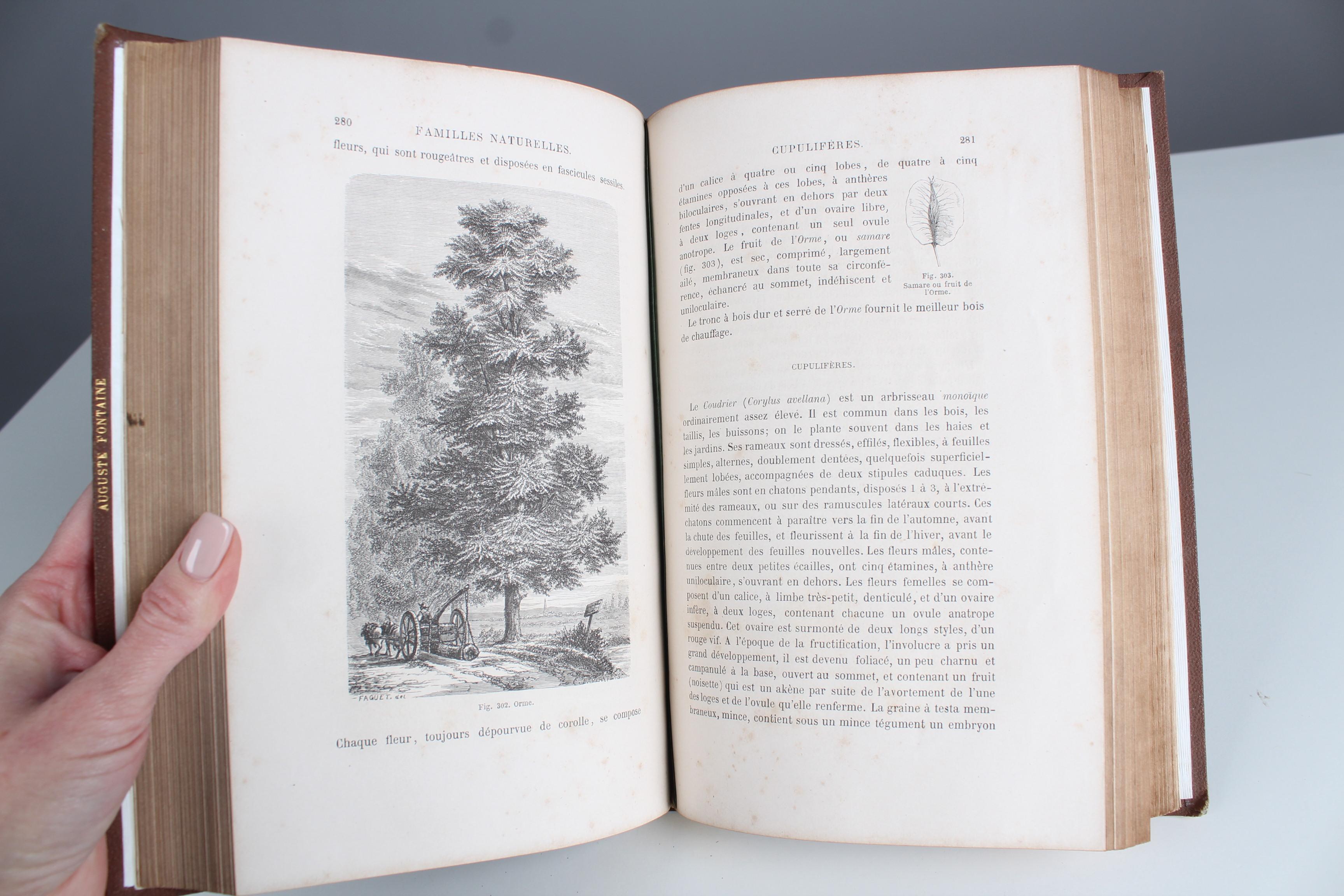 Antikes Lederbuch „Histoire des Plantes“, 1865er Jahre, Frankreich im Angebot 5