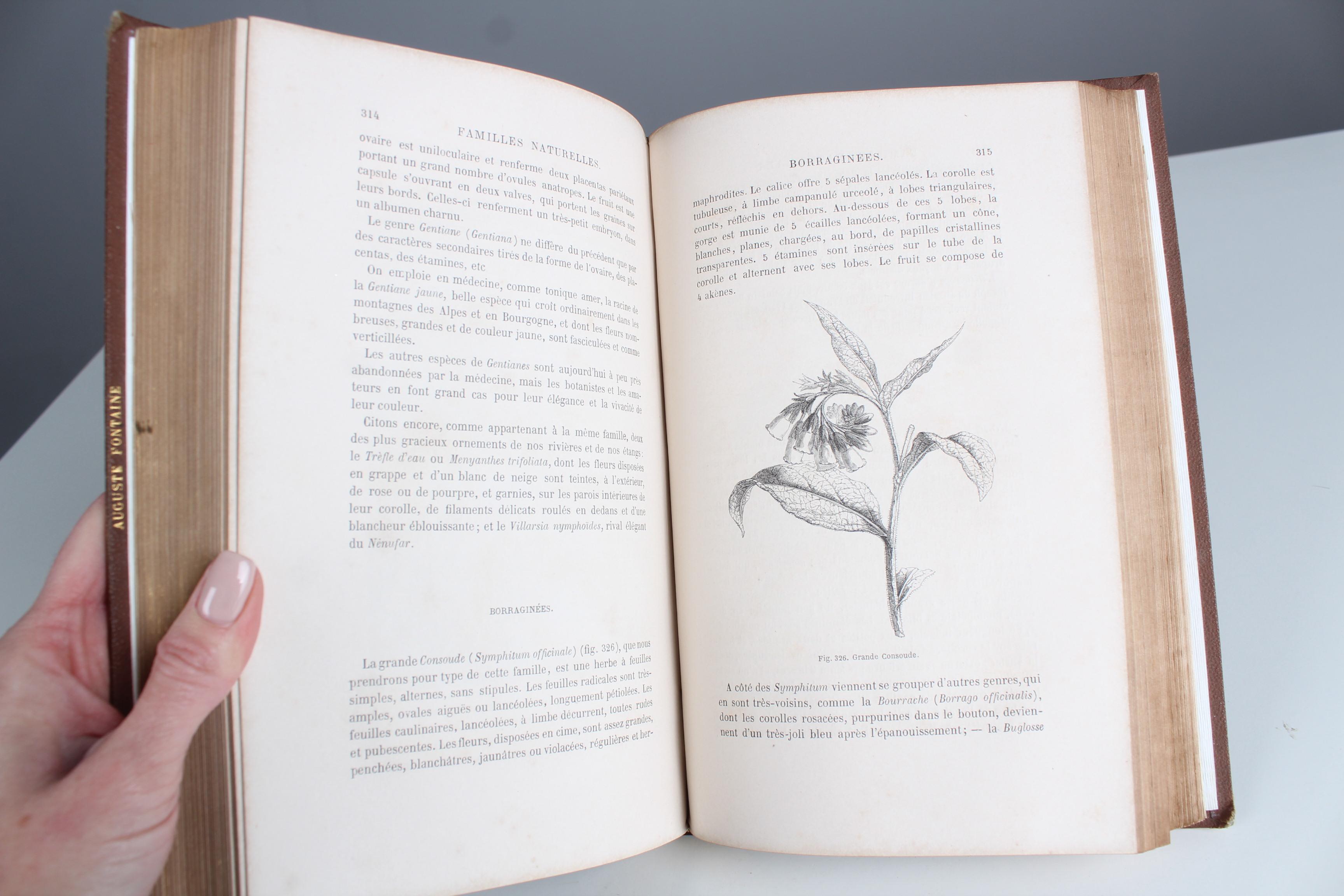 Antikes Lederbuch „Histoire des Plantes“, 1865er Jahre, Frankreich im Angebot 6