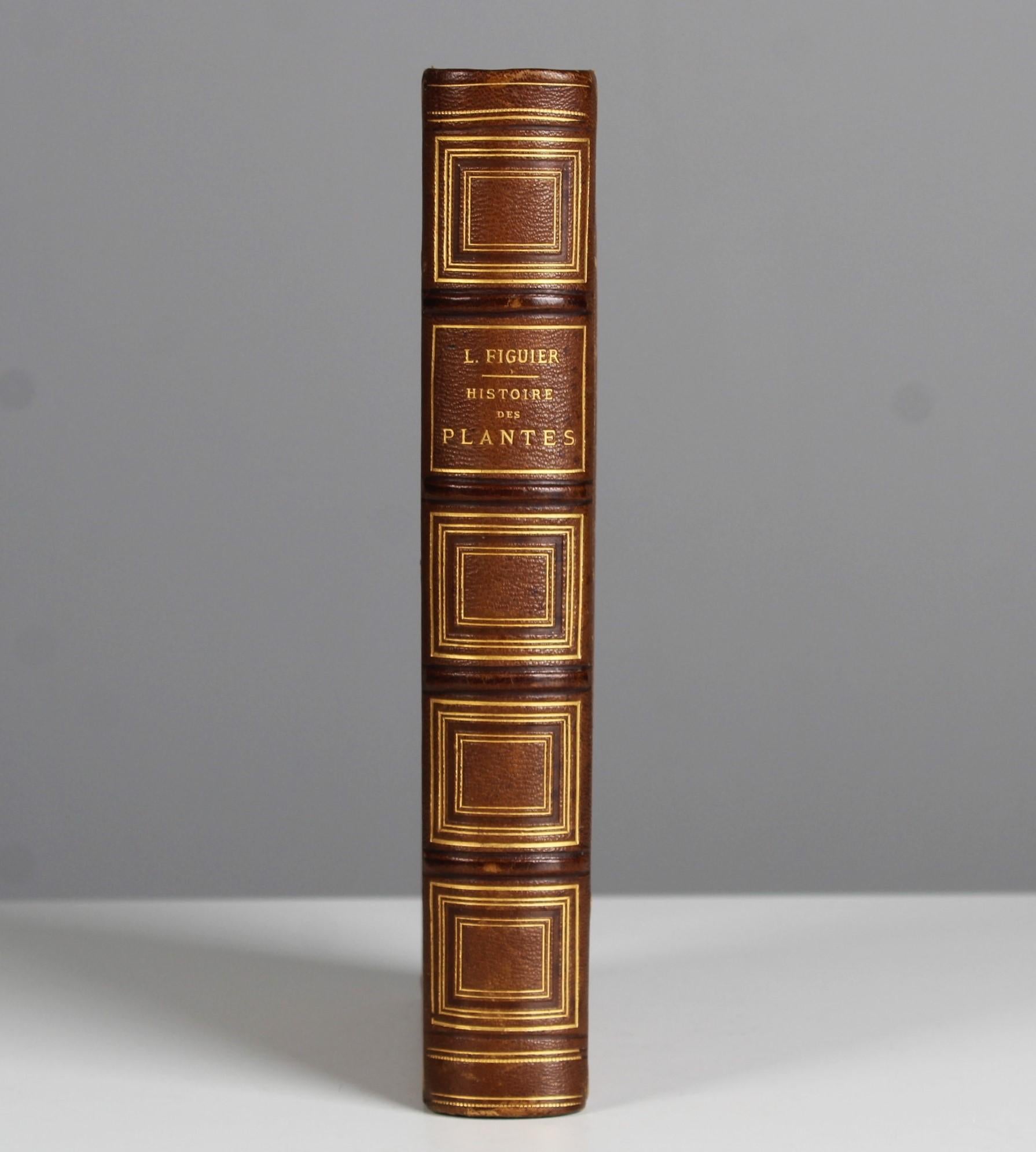 Wunderschönes, seltenes, antikes Lederbuch, Original von 1865.
