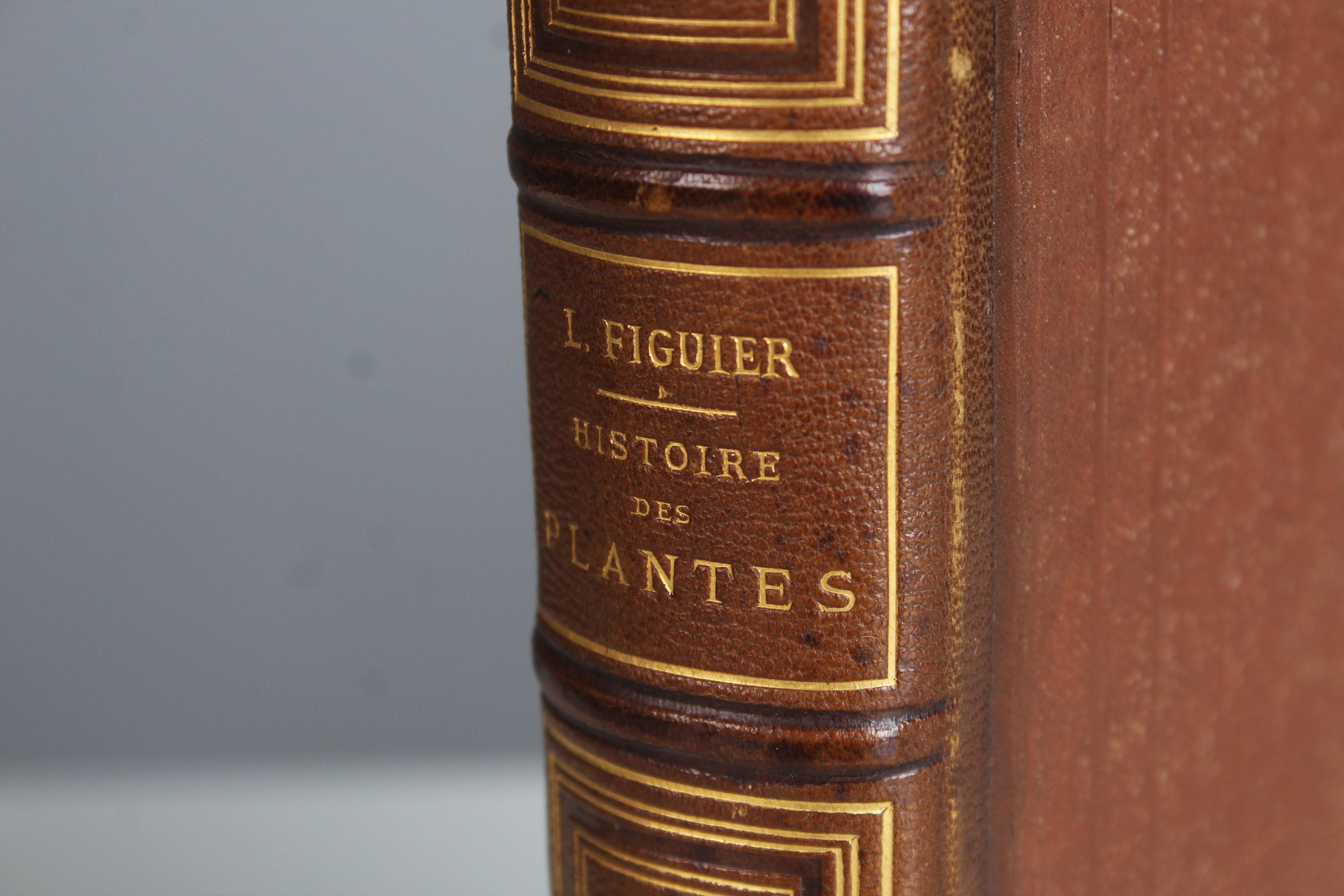 Antikes Lederbuch „Histoire des Plantes“, 1865er Jahre, Frankreich (Französisch) im Angebot