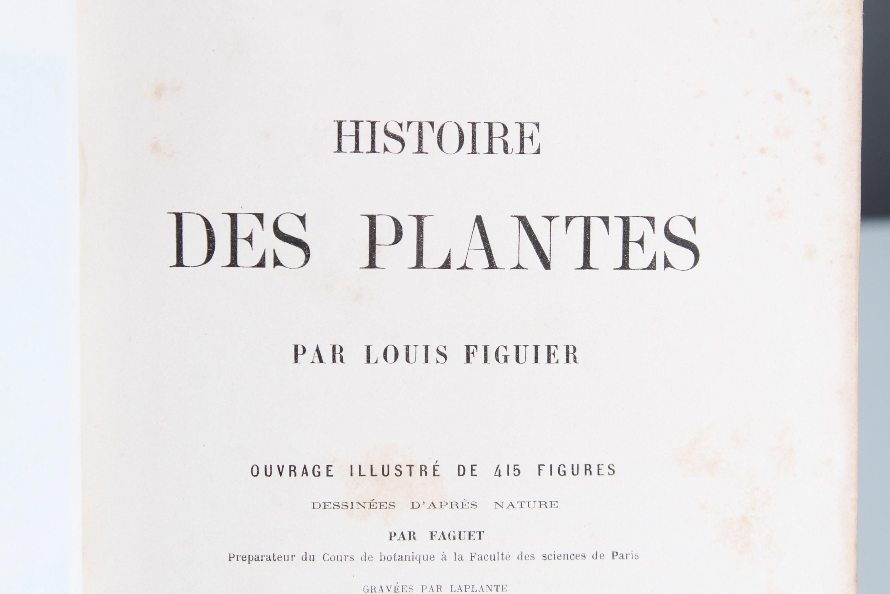 Antikes Lederbuch „Histoire des Plantes“, 1865er Jahre, Frankreich im Zustand „Gut“ im Angebot in Greven, DE