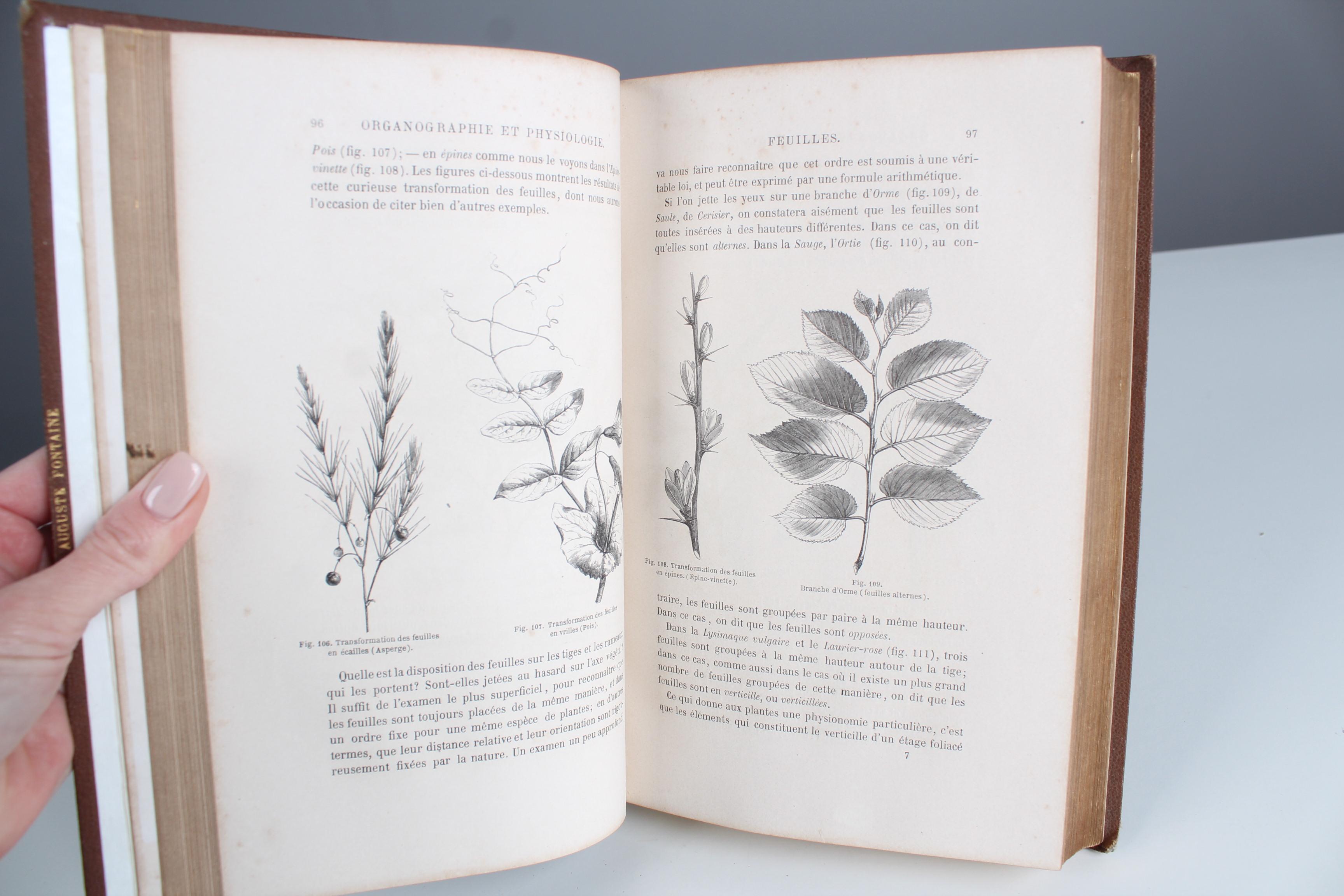Antikes Lederbuch „Histoire des Plantes“, 1865er Jahre, Frankreich im Angebot 1