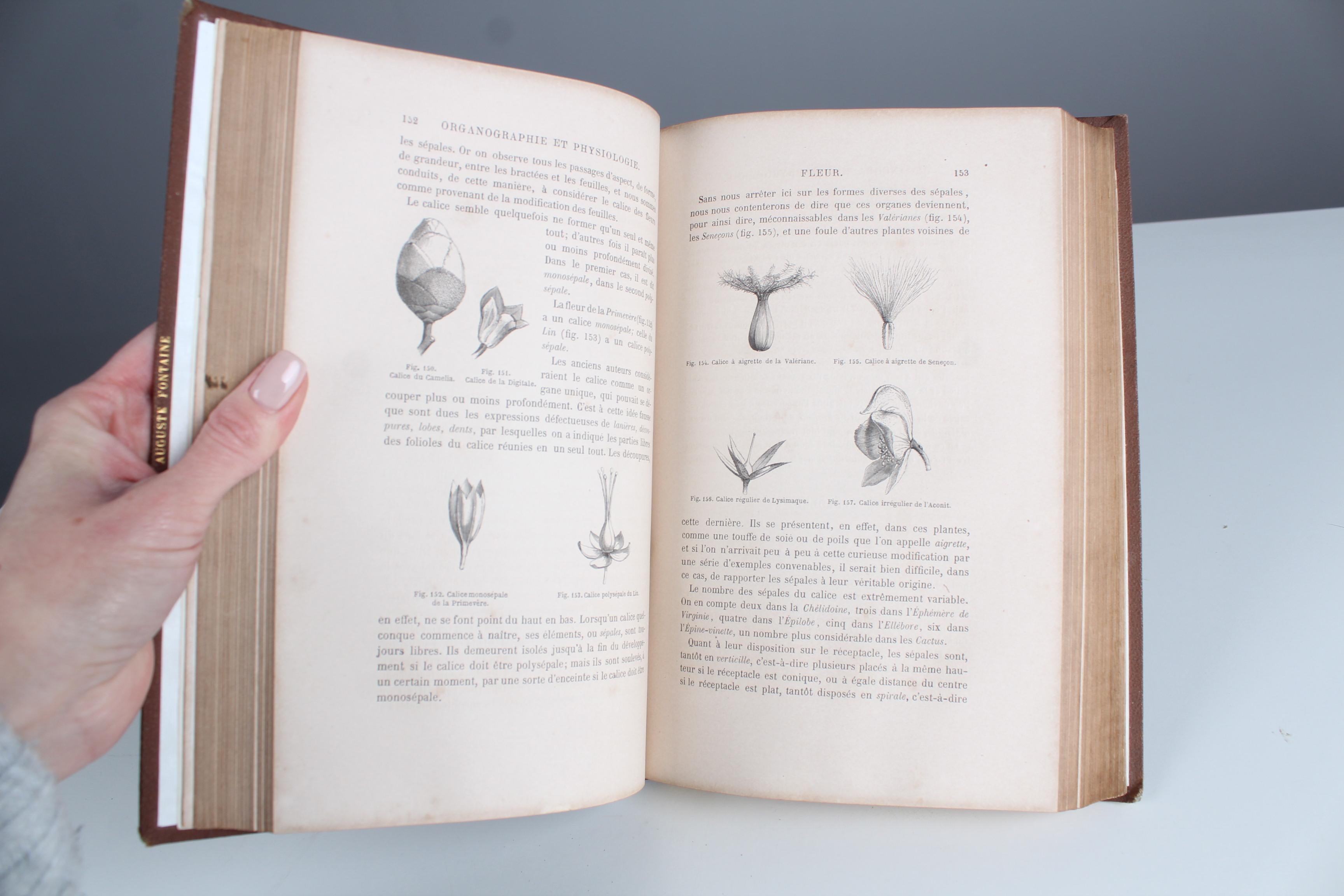 Libro antiguo de cuero 