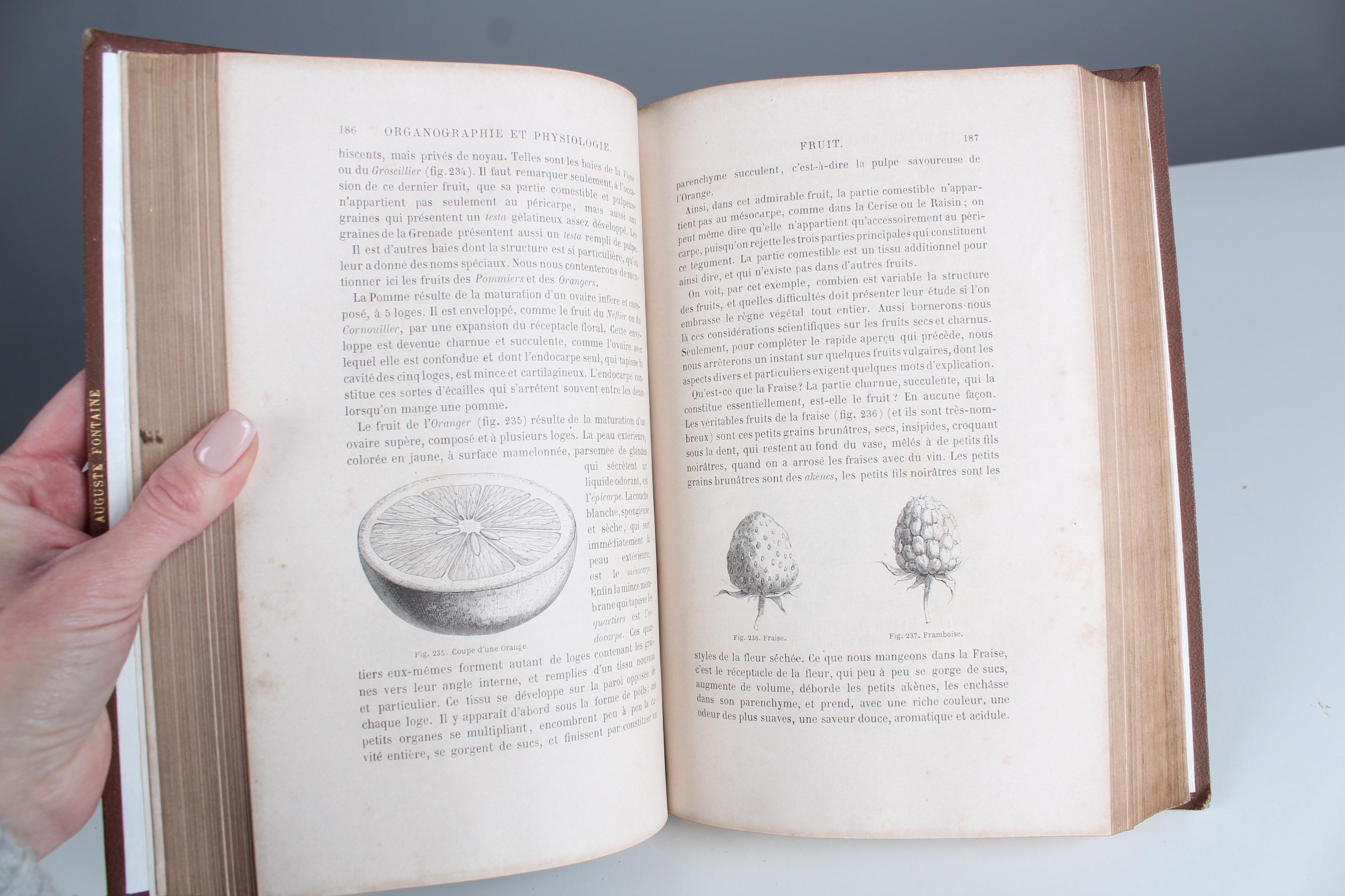 Antikes Lederbuch „Histoire des Plantes“, 1865er Jahre, Frankreich im Angebot 3