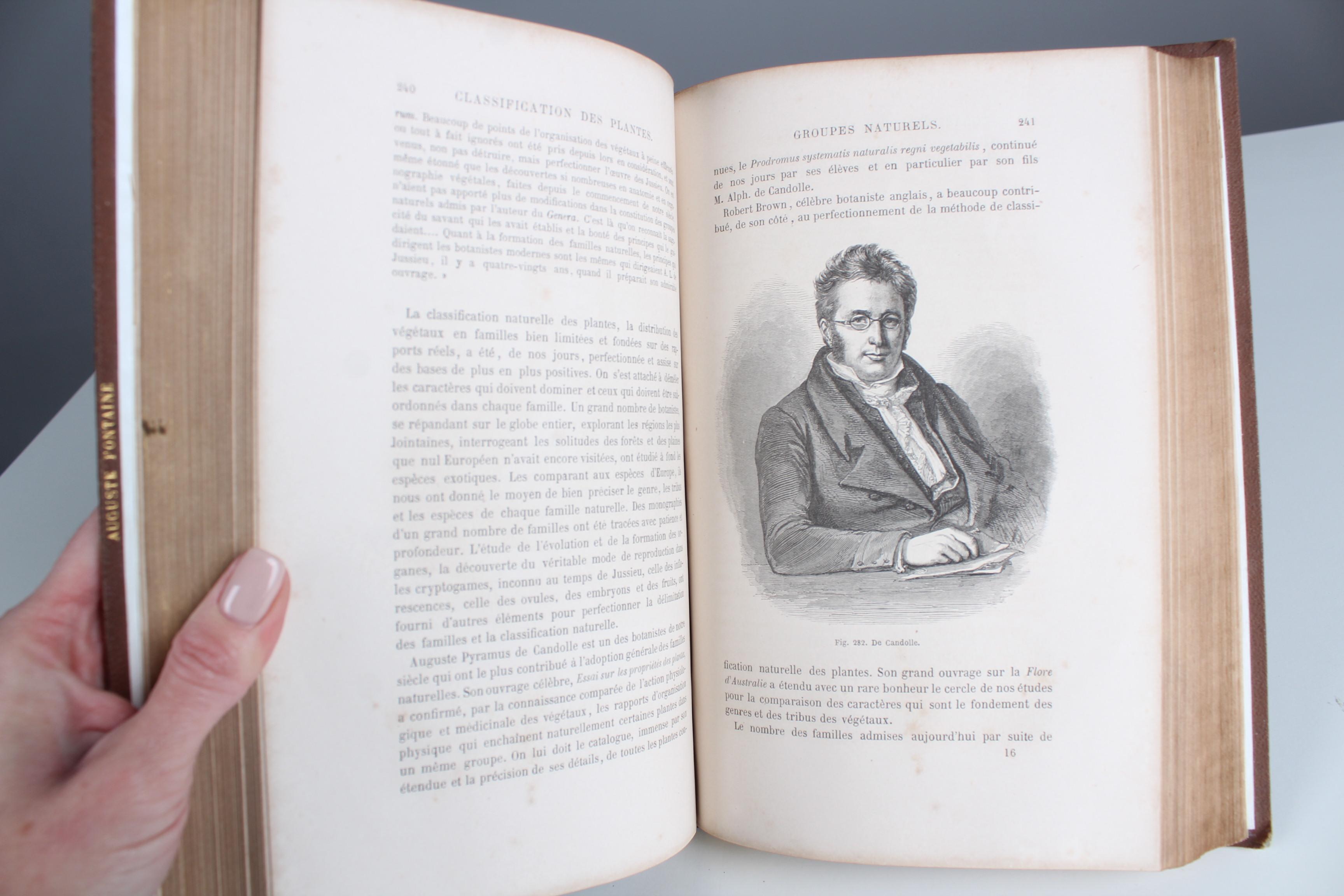 Antikes Lederbuch „Histoire des Plantes“, 1865er Jahre, Frankreich im Angebot 4