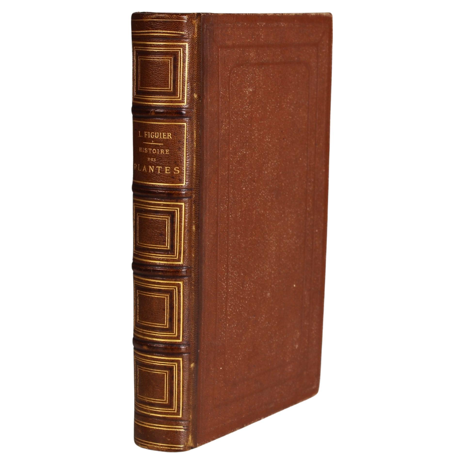 Livre en cuir ancien "Histoire des Plantes", années 1865, France