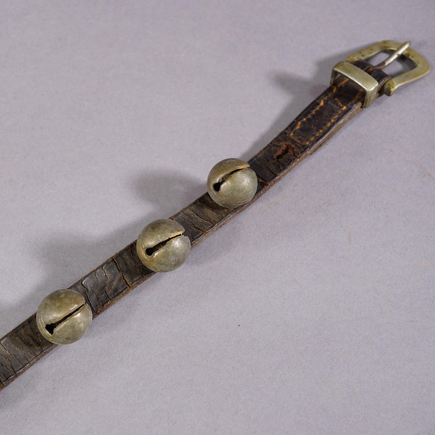 Correa antigua de cuero con siete campanas de latón, Suiza ca. 1900 siglo XX