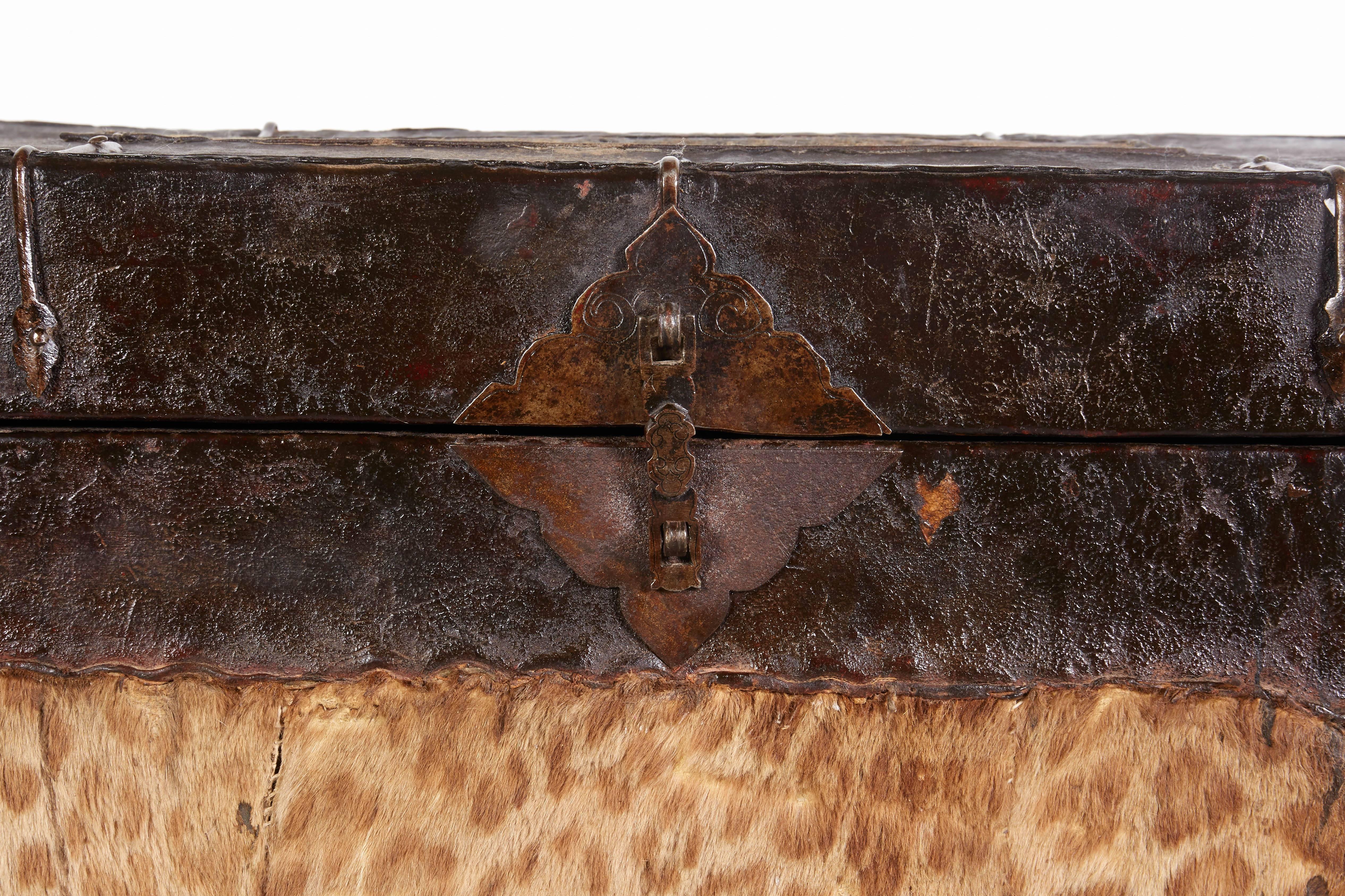 20th Century Antique Leather Tibetan Trunk with Original Iron Decoration and Tiger Skin