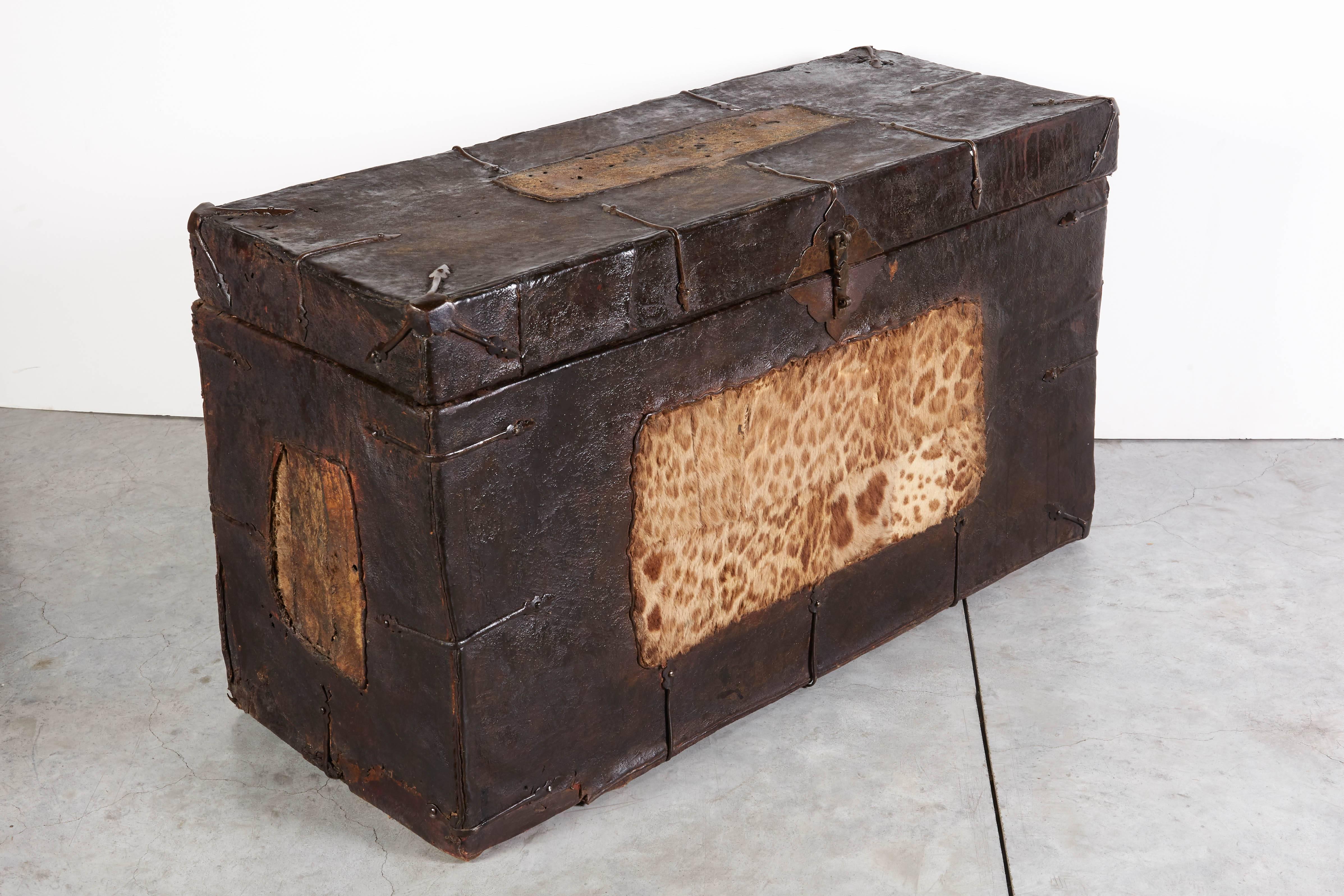 Antique Leather Tibetan Trunk with Original Iron Decoration and Tiger Skin 2