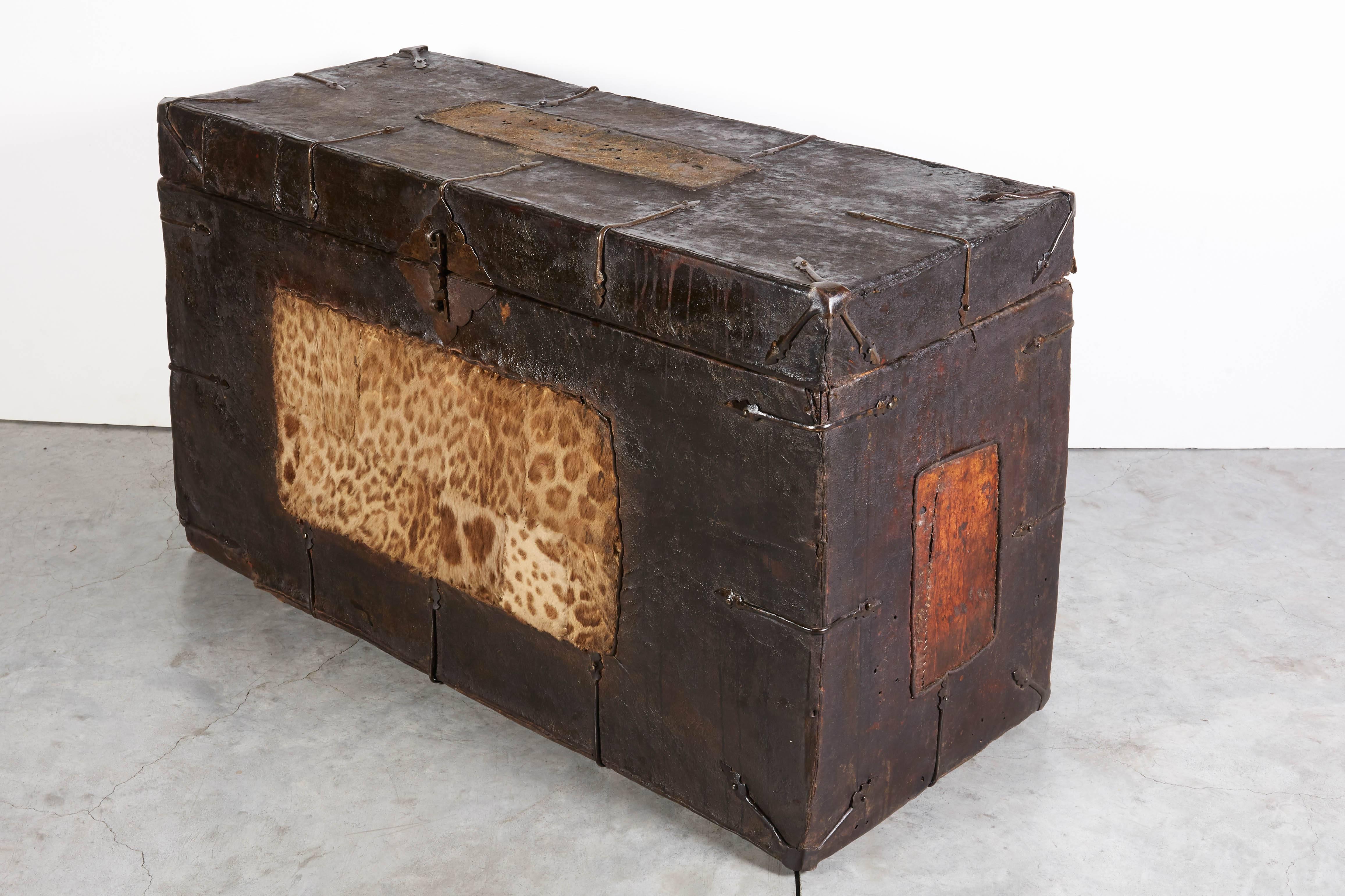 Antique Leather Tibetan Trunk with Original Iron Decoration and Tiger Skin 3