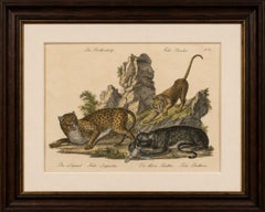 Litografía antigua Leopardo y pantera de Karl Joseph Brodtmann, 1816