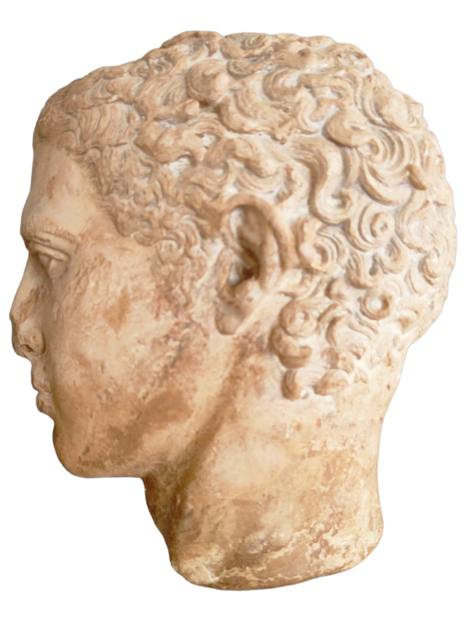 Introduci un pezzo di storia nella tua collezione con questa antica testa di pietra a grandezza naturale dei primi anni del 1900. Questa imponente scultura cattura l'essenza dell'arte classica, rendendola un pezzo forte per qualsiasi