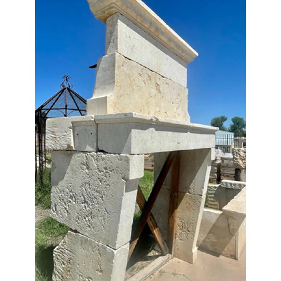 Carved Antique Limestone Fireplace with Trumeau For Sale