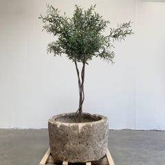 Antique Limestone Trough Planter or Fountain