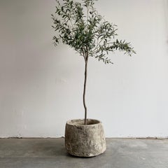 Antique Limestone Trough Planter or Fountain