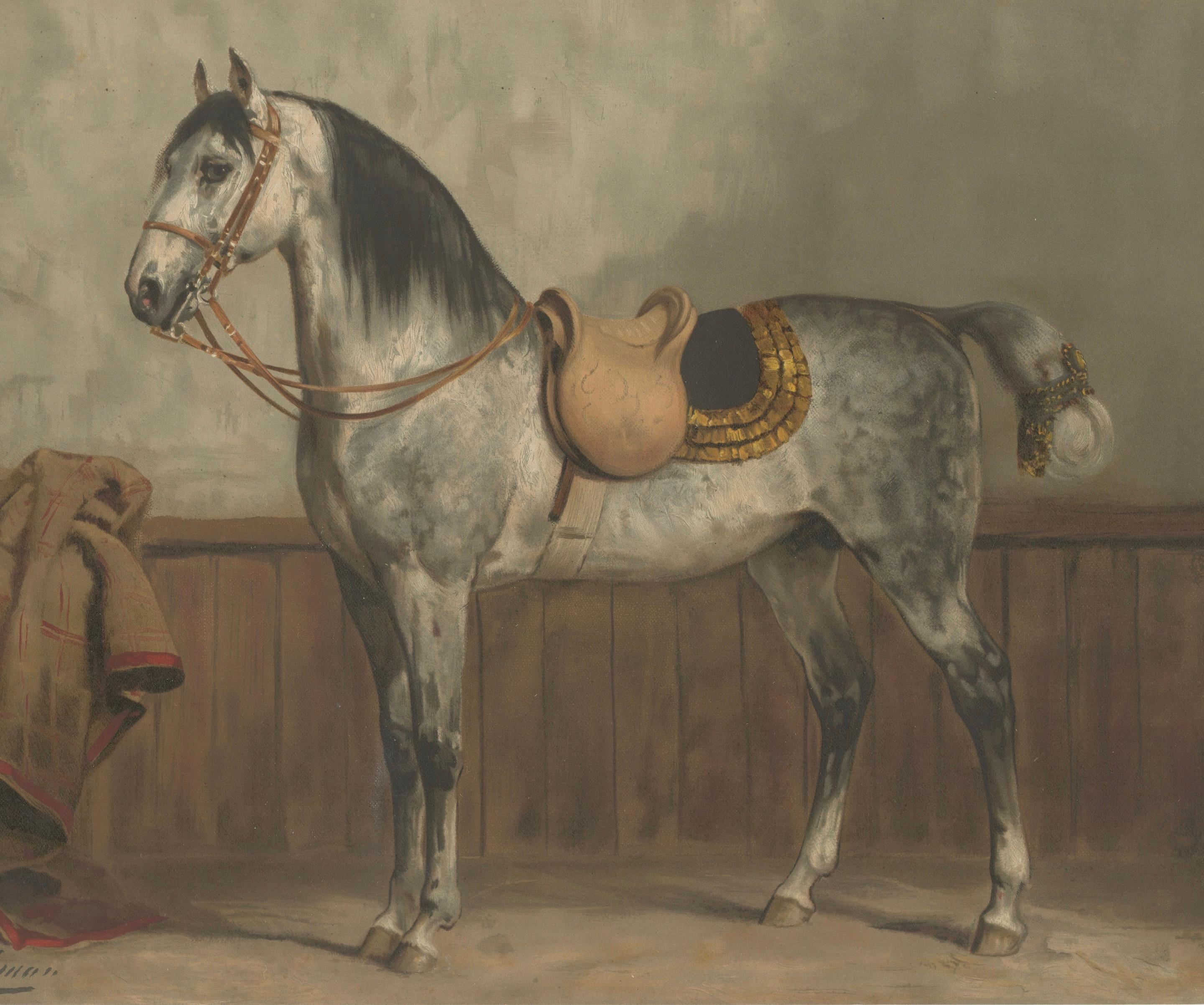 Antique Lipizzaner Horse Portrait 1898, Classical European Equestrian Lithograph