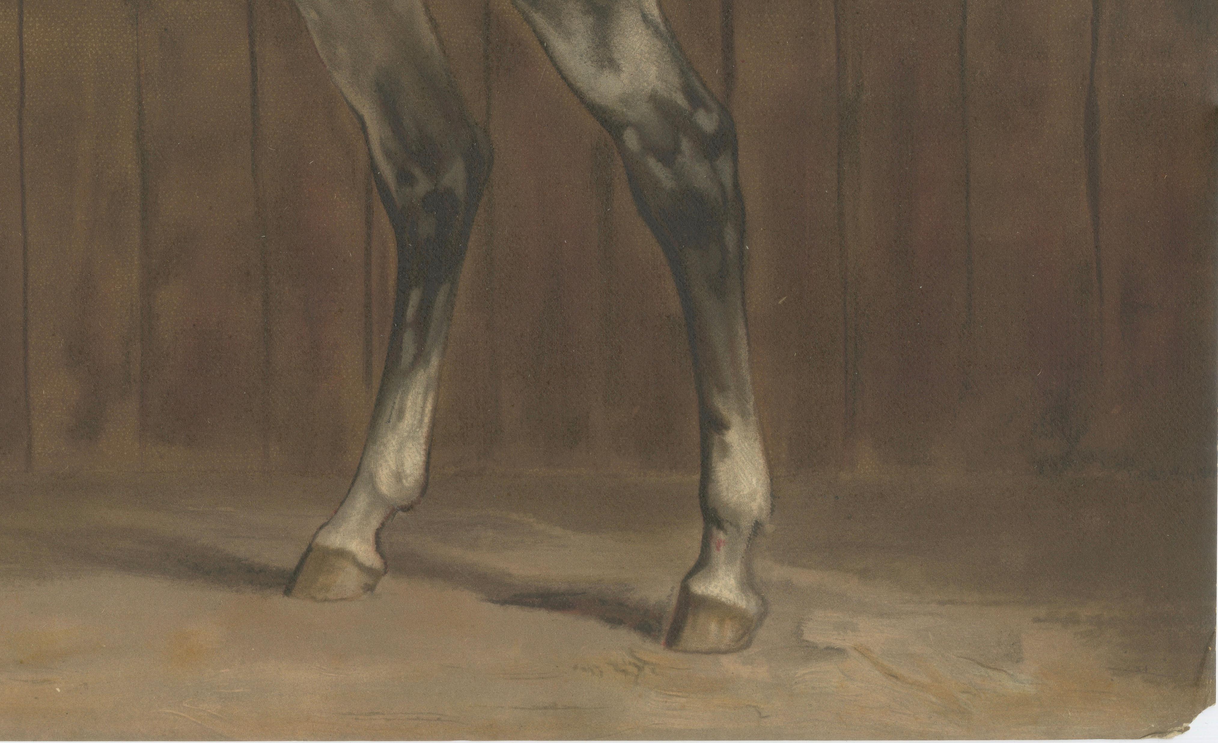Antique Lipizzaner Horse Portrait 1898, Classical European Equestrian Lithograph