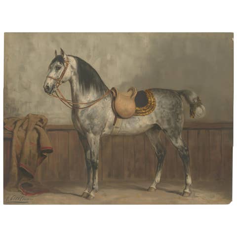 Antique Lipizzaner Horse Portrait 1898, Classical European Equestrian Lithograph