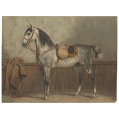Antikes Lipizzaner Pferdeporträt 1898, klassische europäische Pferdelithographie