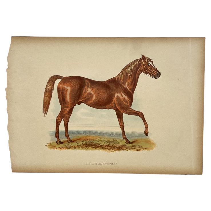 Lithographie ancienne "George Frederick" avec tableau de lignée, 19e siècle