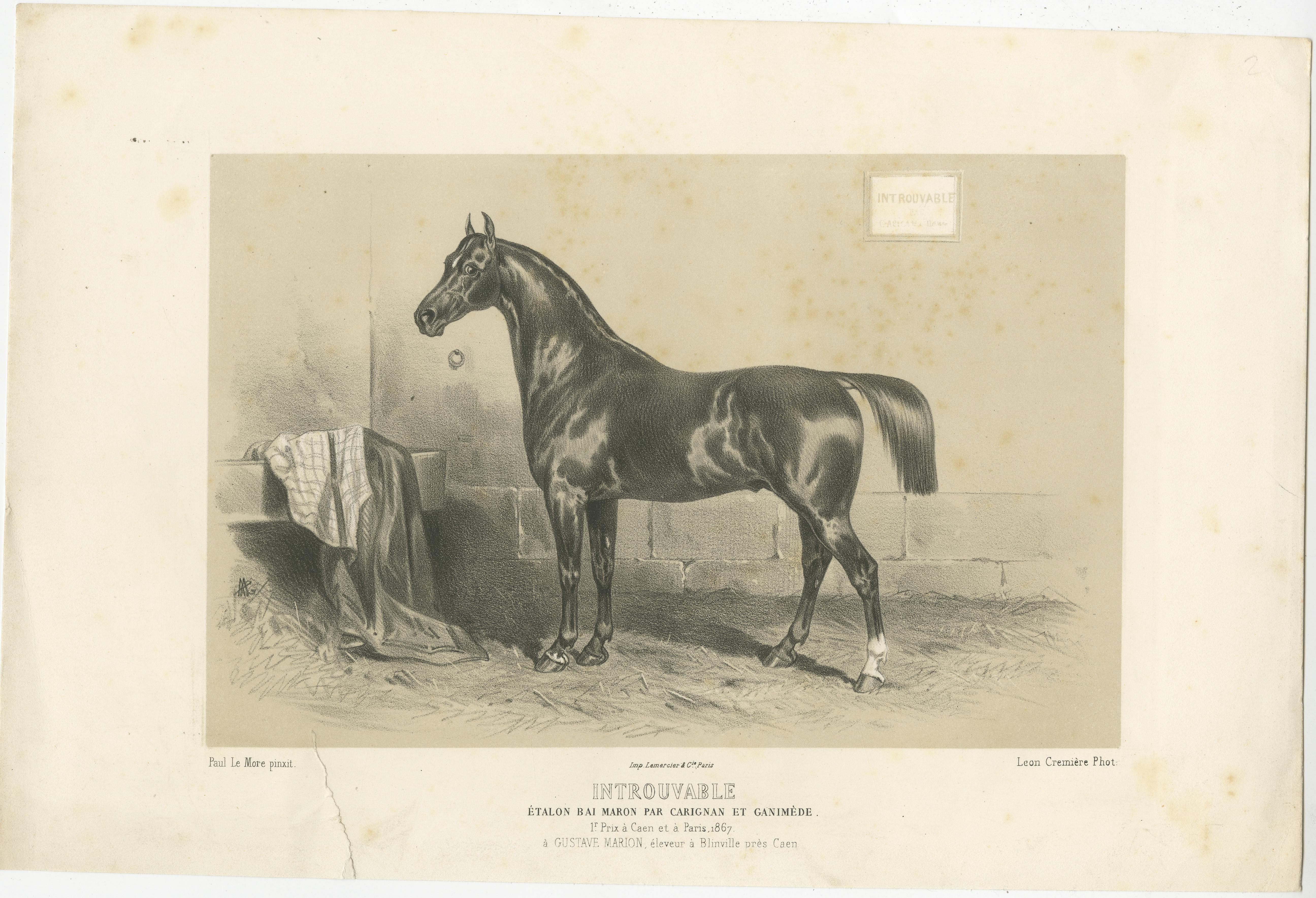 Antique print titled 'Introuvable. Étalon bai Maron par Carignan et Ganimède'. Lithograph of the horse 'Introuvable'. Published in Paris by Lemercier & Cie after a painting by Paul le More, circa 1870.