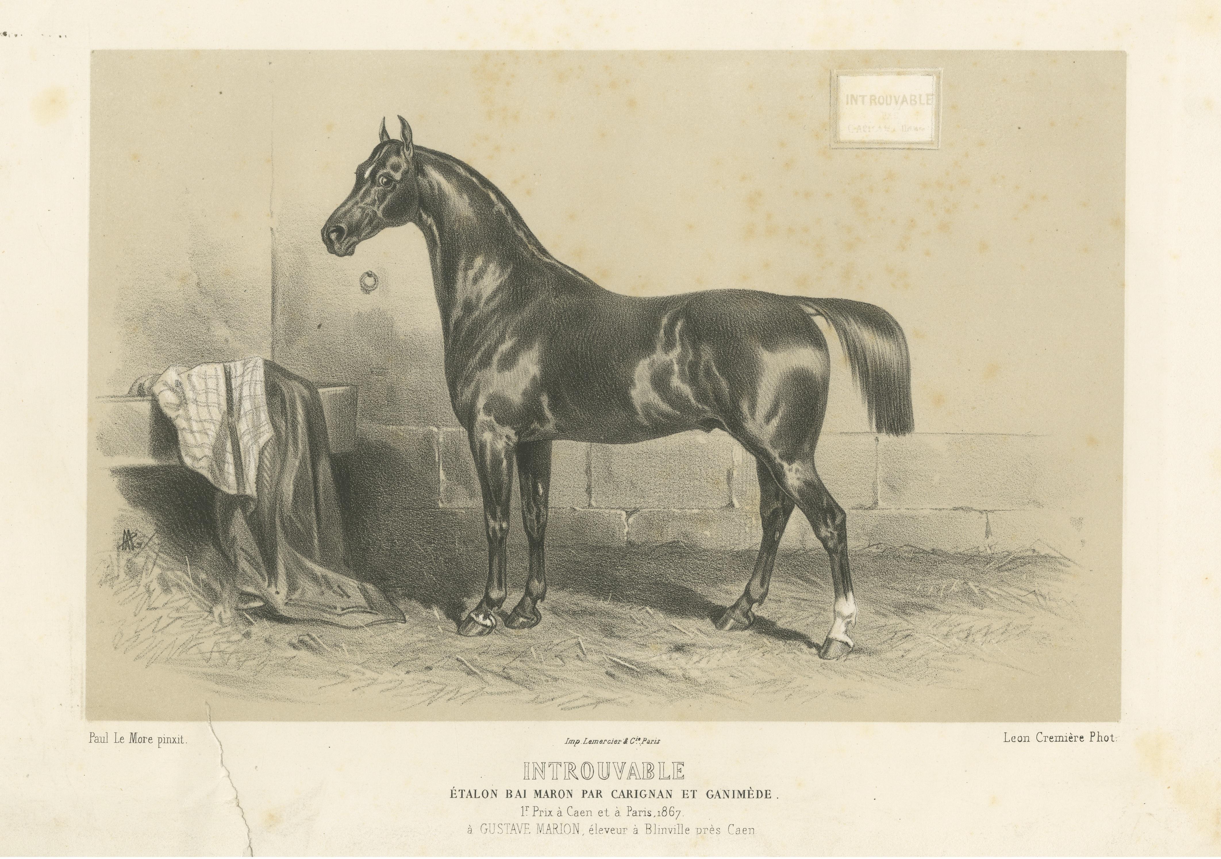 Antique Lithograph of the Horse 'Introuvable' In Fair Condition For Sale In Langweer, NL