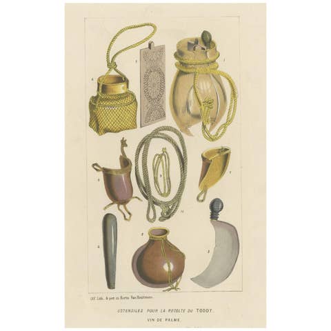 Antique Lithograph of Utensils to Harvest Palm Wine or Toddy, 1851