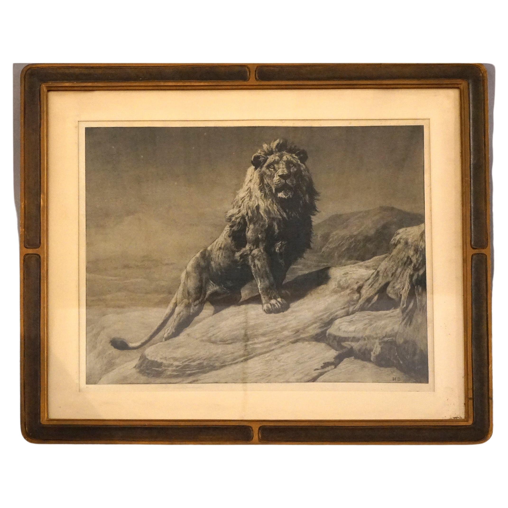 Antique Lithograph Print of an African Lion Circa 1900