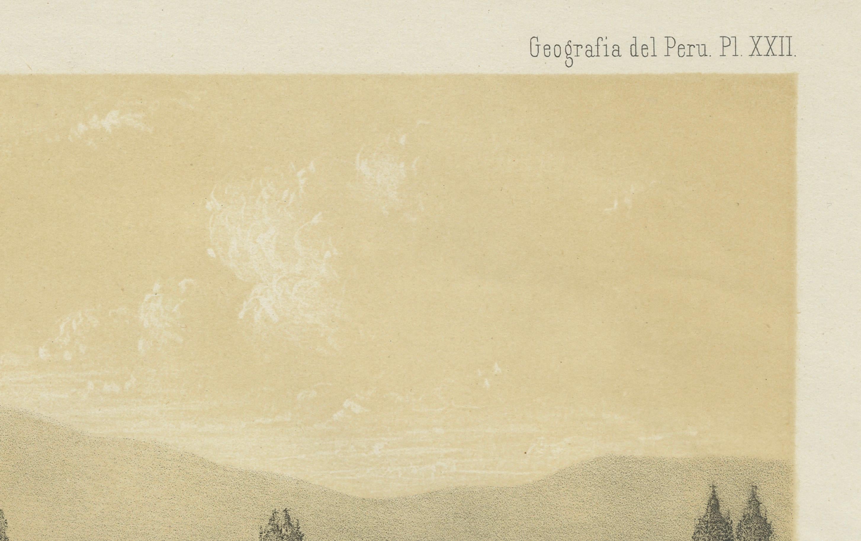 Paper Antique Lithograph View of Lima, Peru – Vista General de Lima 1865 For Sale