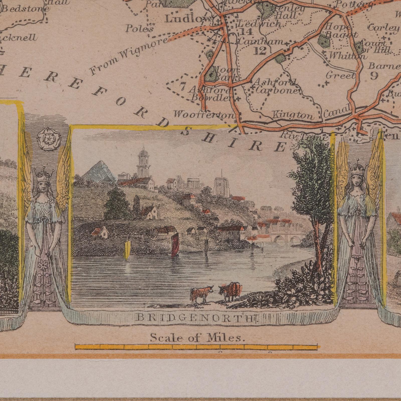 Antique Lithography Map, Shropshire, English, Framed, Cartography, Victorian For Sale 5