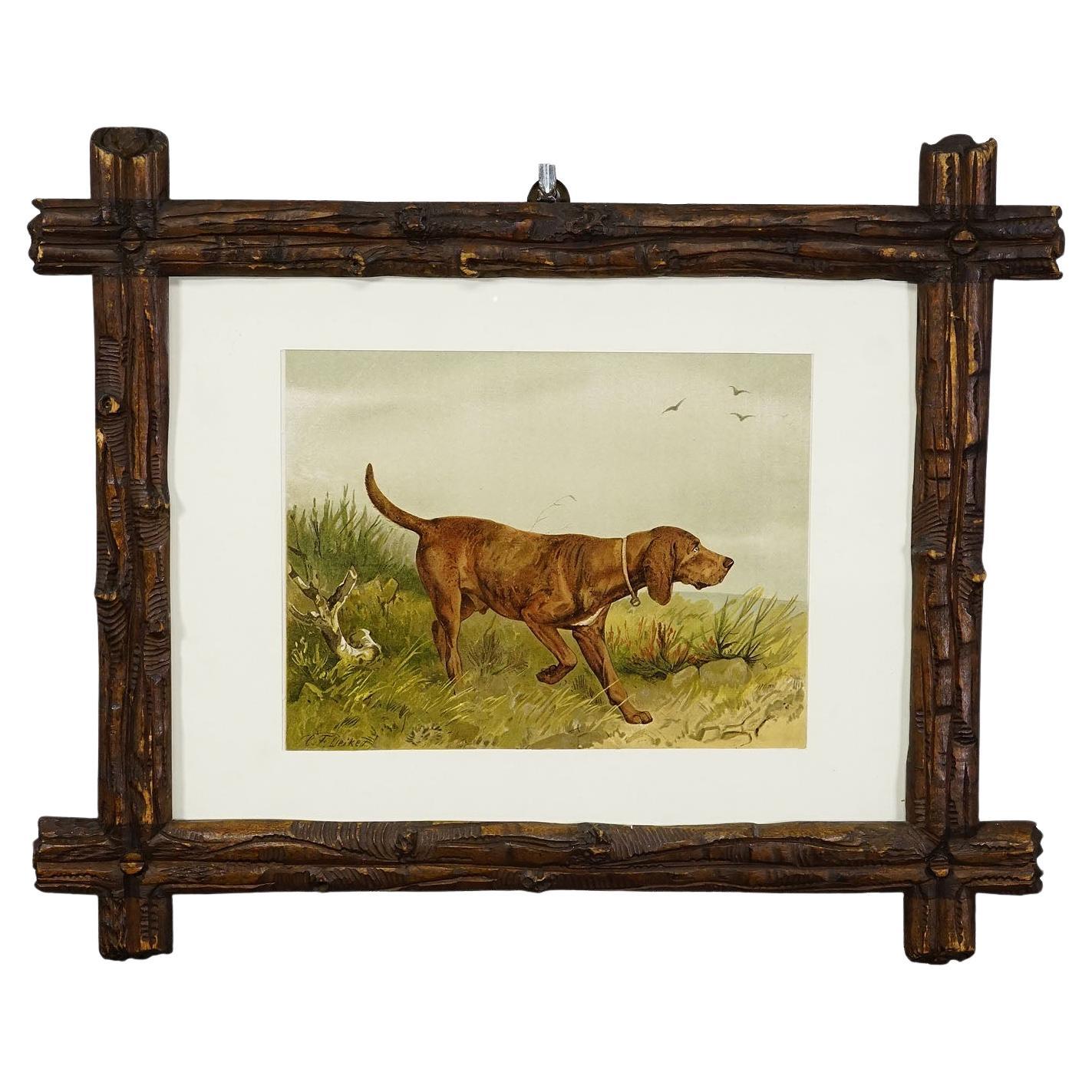 Grabado Litográfico Antiguo Perro Soldador de Caza Siglo XIX
