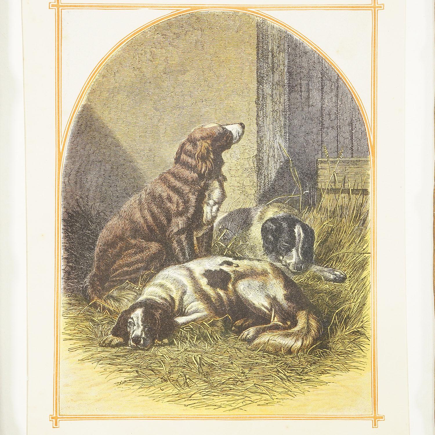 Impression lithographie ancienne avec chiens de sport 19ème siècle

Une lithographie finement réalisée représentant trois chiens de sport au repos. Il s'agit d'une estampe colorée de la fin du 19e siècle, placée sous verre dans un cadre en bois