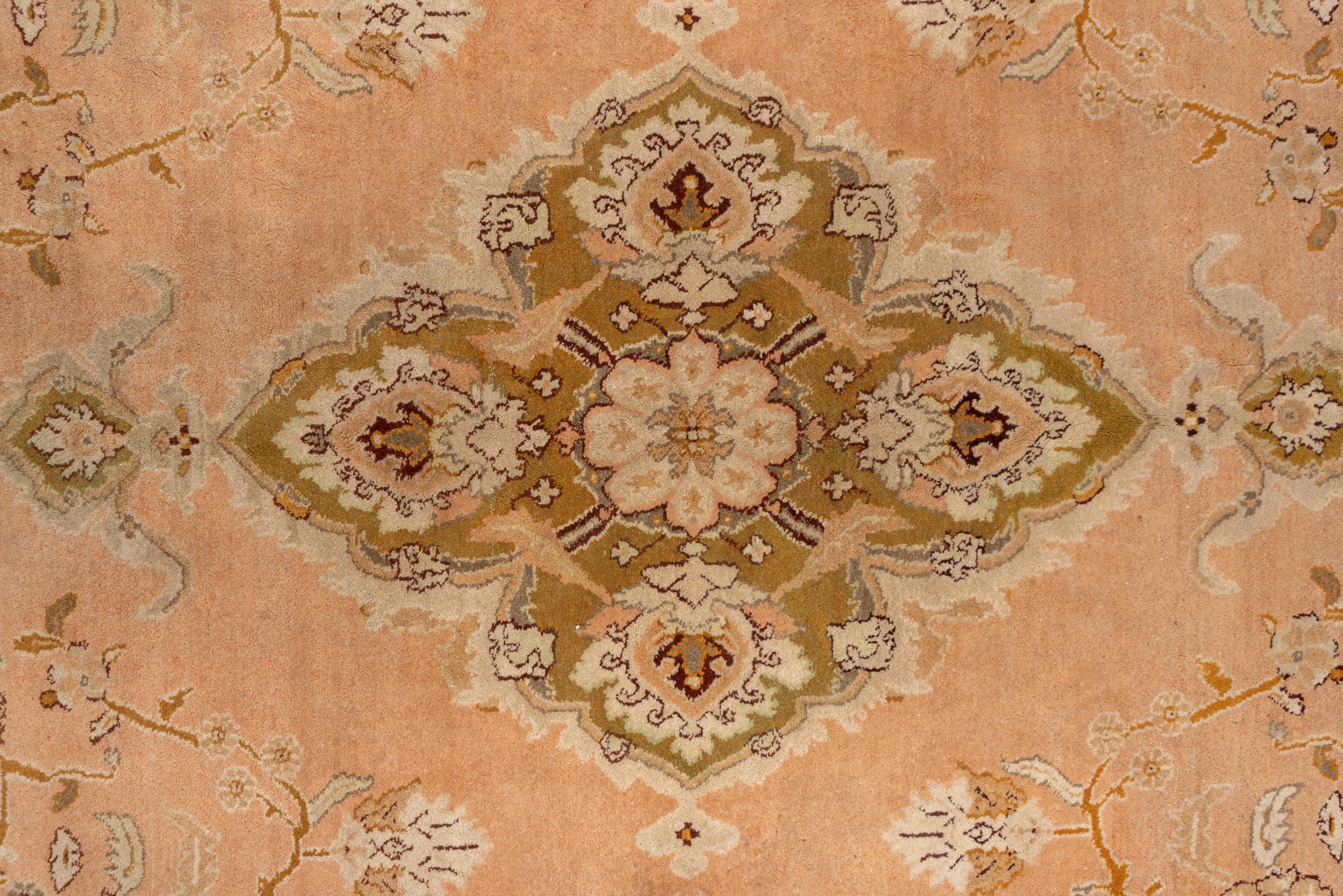 No overall field color, but areas of light blue, salmon, rust, buff and pale green all display palmettes, rosettes and stiff vine segments. The equally variegated border features lancet leaves and reversing palmettes. A northern Indian city rug in