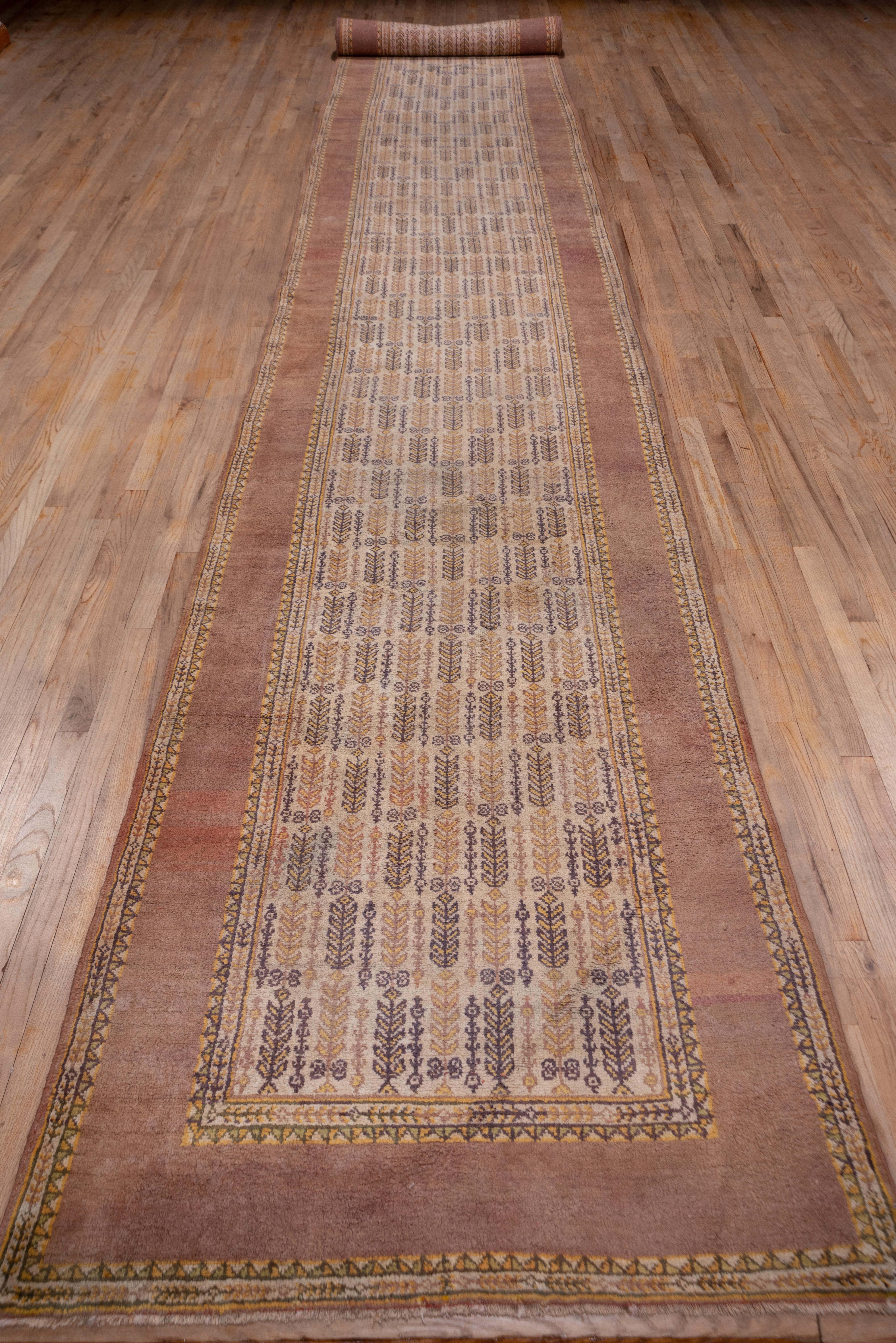 This relatively coarsely woven northern Indian runner features an ecru field with rows of leafy plants in lemon yellow and blue-green. The wide, plain dusty rose-tan border is flanked by triangle and herringbone minors.