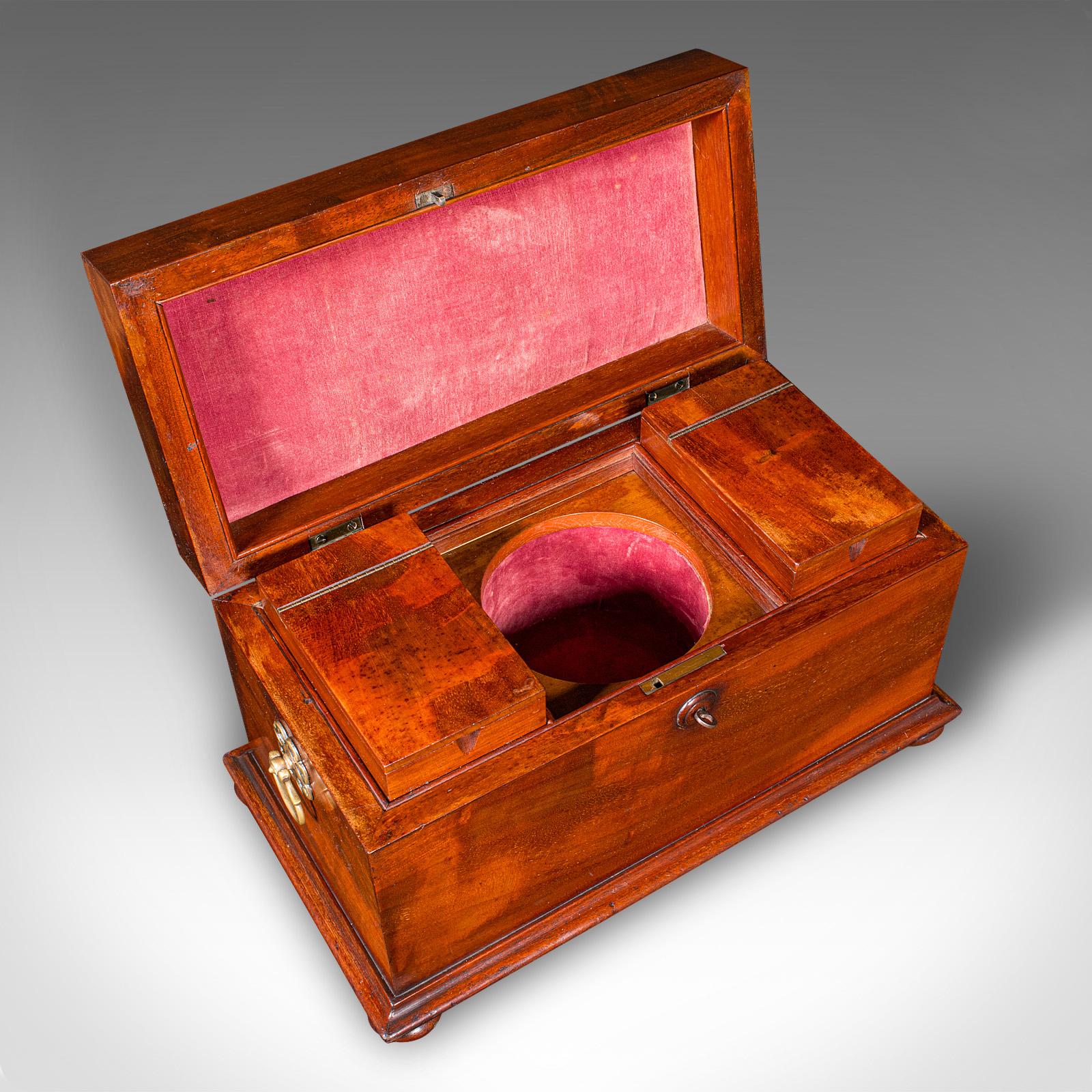 Antiguo estuche para té suelto, inglés, con dos compartimentos, Regencia, 1820 en venta 2