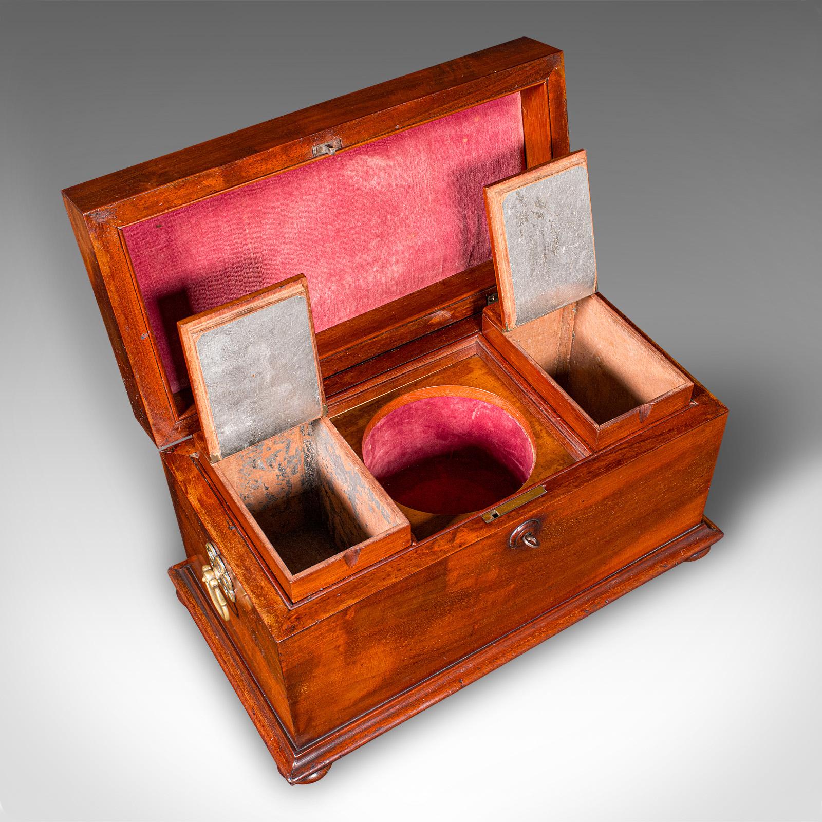Antiguo estuche para té suelto, inglés, con dos compartimentos, Regencia, 1820 en venta 3