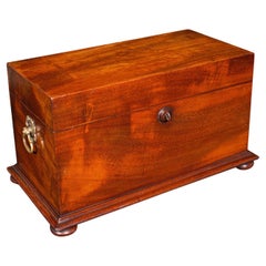 Antiguo estuche para té suelto, inglés, con dos compartimentos, Regencia, 1820