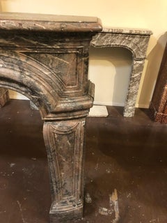 Antique Louis XIV Style Fireplace in Enjugerais Marble