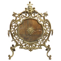 Antique Louis XIV Style Gilt Bronze Fireplace Screen from France, 19th Century
