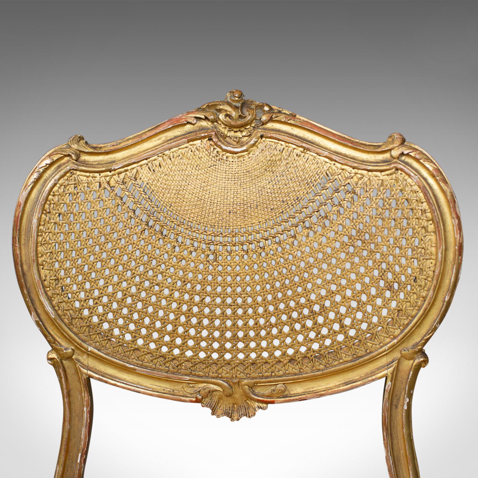 Antique Louis XV Revival Salon Chairs, French, Giltwood, Cane, circa 1900 2