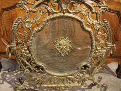 Antique Louis XIV Style Gilt Bronze Fireplace Screen from France, 19th Century