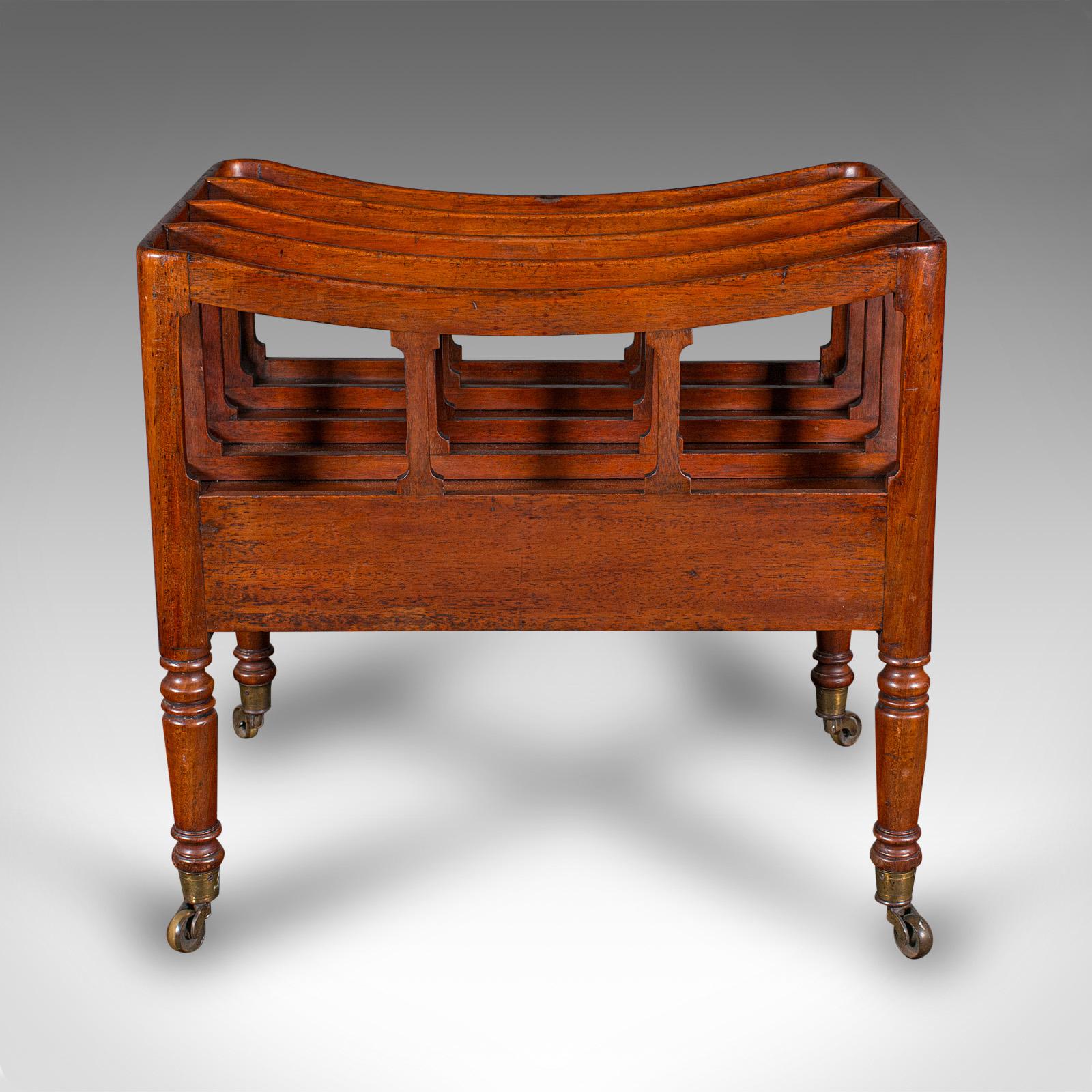 Antique Low Profile Canterbury, English, Newspaper Rack, Magazine Stand, Regency In Good Condition For Sale In Hele, Devon, GB