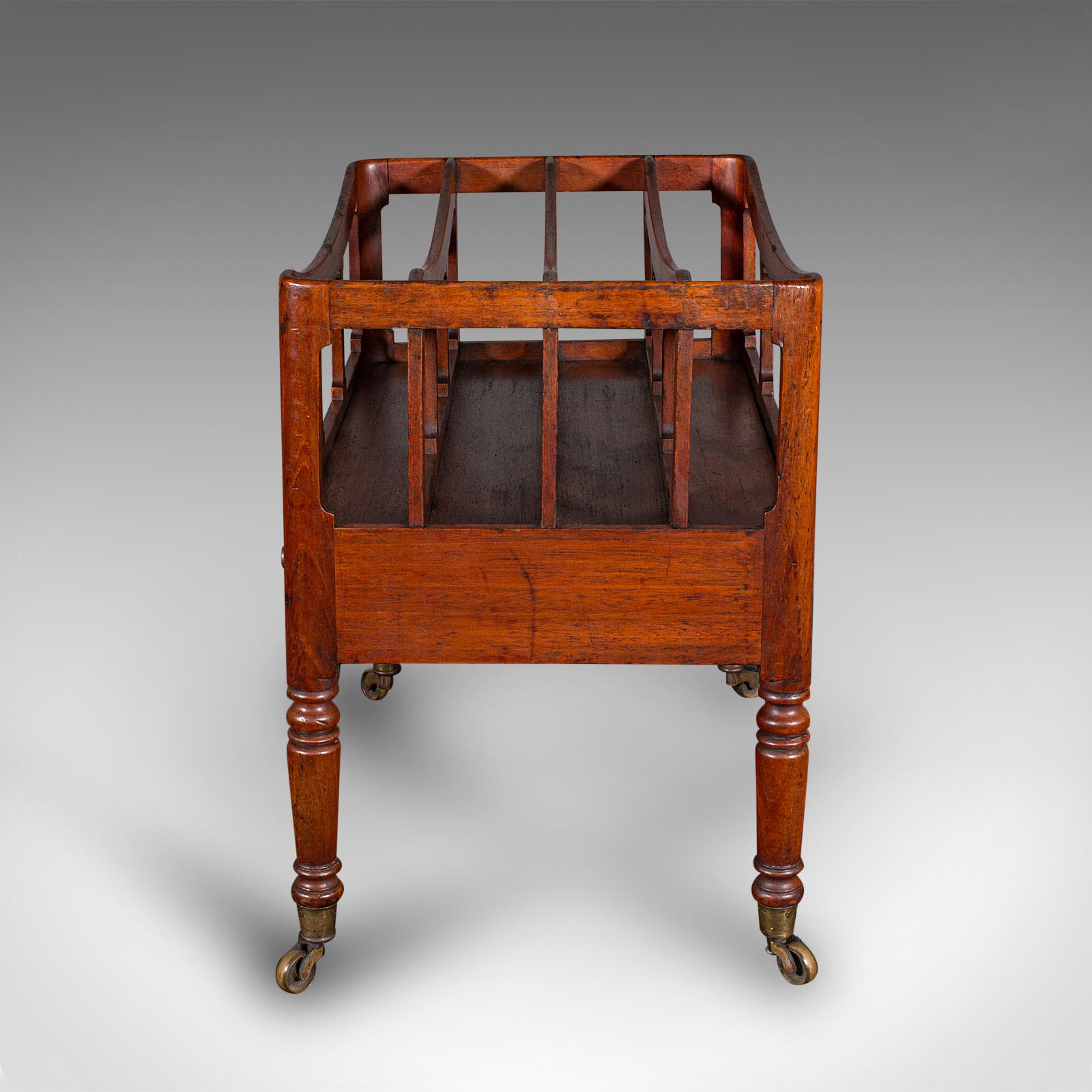 19th Century Antique Low Profile Canterbury, English, Newspaper Rack, Magazine Stand, Regency For Sale