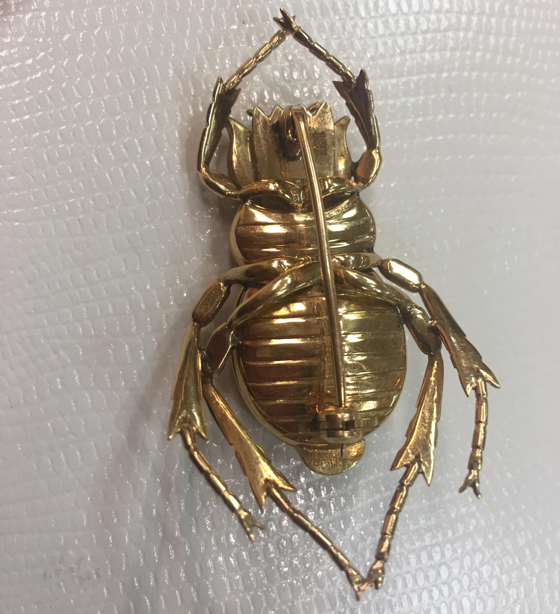 scarab beetle brooch