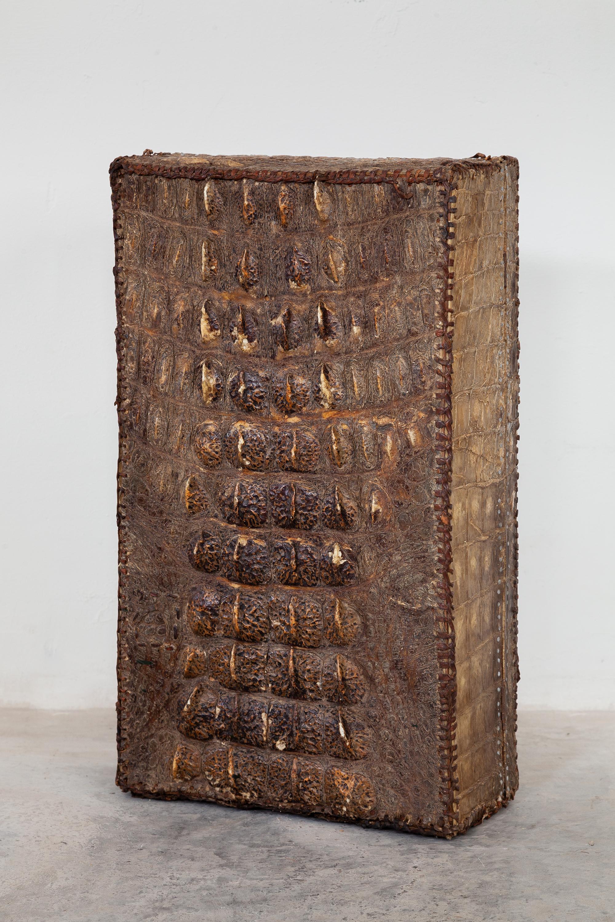 crocodile brand luggage