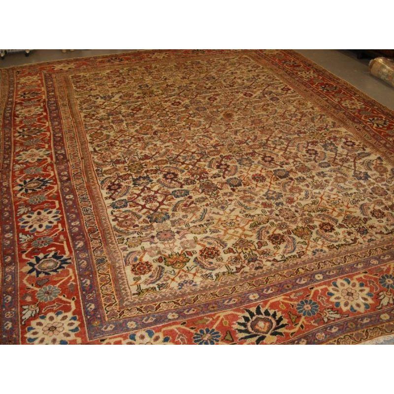An outstanding example of an antique Persian Mahal Carpet with all over herati design on an ivory field. The soft red border frames the carpet really well. The carpet is beautifully drawn with wonderful colour throughout, this is an outstanding