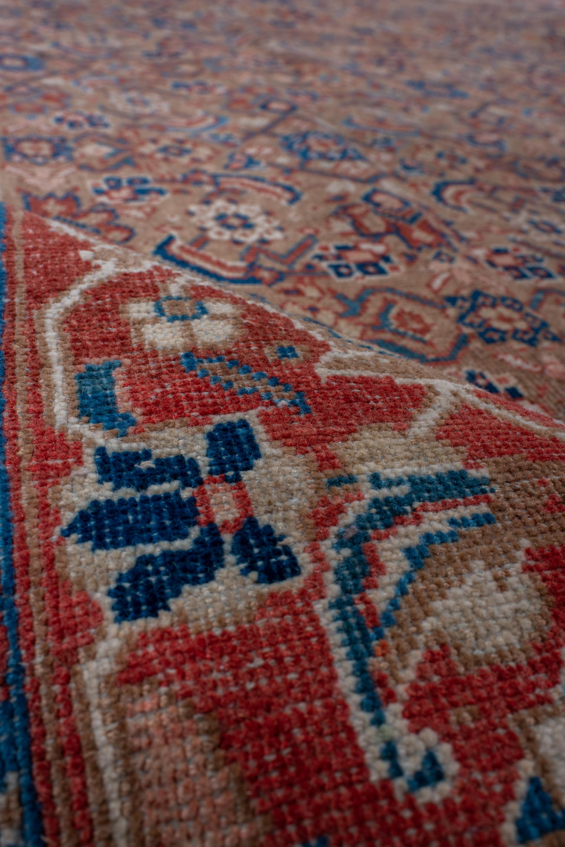 Antique Mahal Rug with Soft Coral Field, Early 20th Century For Sale 1