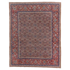 Antique Mahal Rug with Soft Coral Field, Early 20th Century