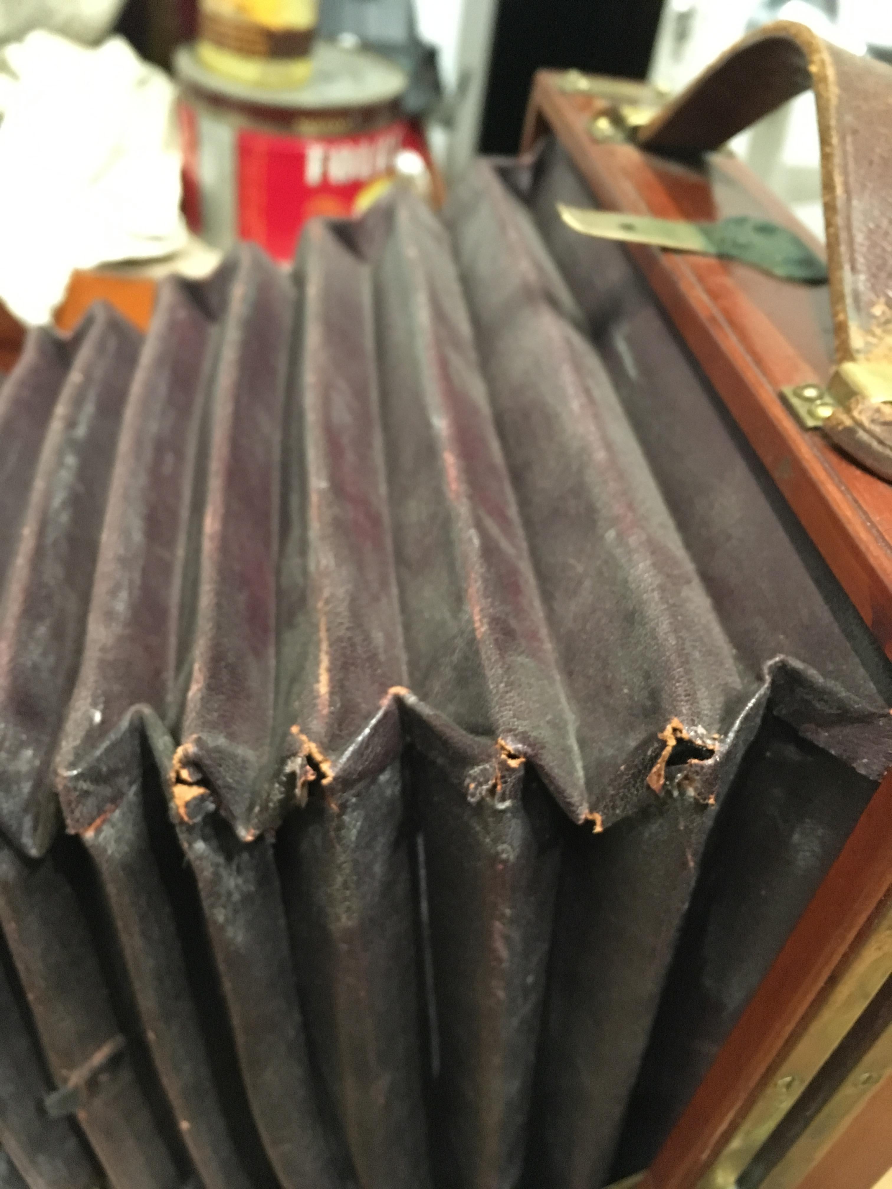 19th Century Antique Mahogany and Large Brass Folding Camera, circa 1890s