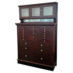 Antique Mahogany Apothecary Dentist Cabinet By The American Cabinet Company